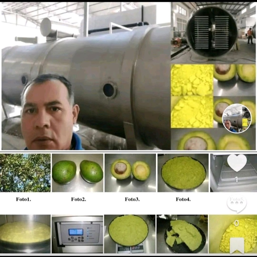 Jorge Rivera Biólogo consultor experto certificado en Liofilización de Intellex No. 725998